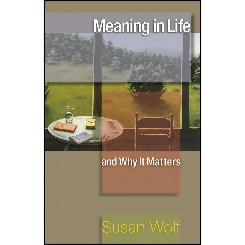 کتاب Meaning in Life and Why It Matters  اثر جمعی از نویسندگان انتشارات Princeton University Press