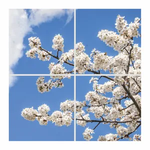 تایل سقفی آسمان مجازی مدل SK-421 سایز 60x60 سانتیمتر مجموعه 4 عددی