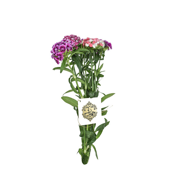 دسته گل قرنفول بنفش هیمان کد 1065