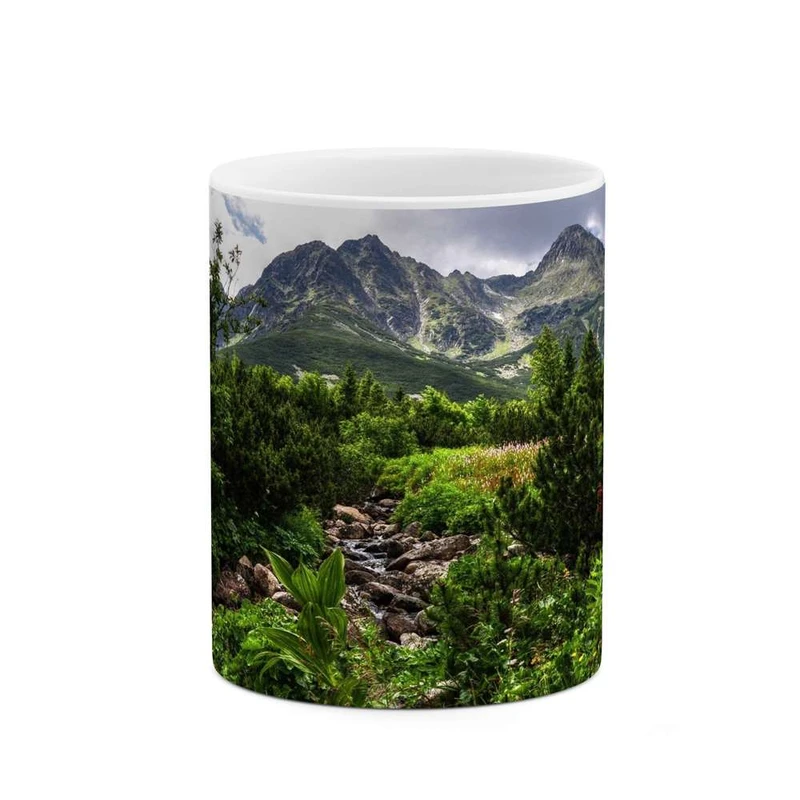 ماگ کاکتی مدل طبیعت کد mgh11206