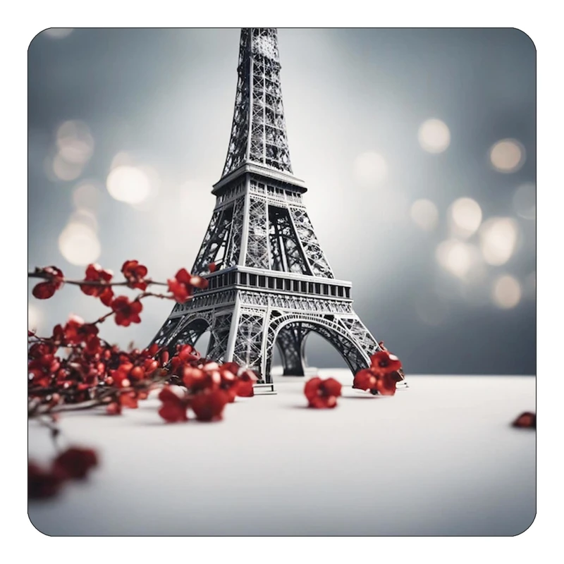 مگنت کاکتی طرح پاریس Paris مدل mp56794