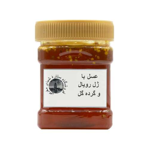 عسل با ژل رویال و گرده گل - 480 گرم