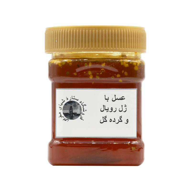 عسل با ژل رویال و گرده گل - 480 گرم