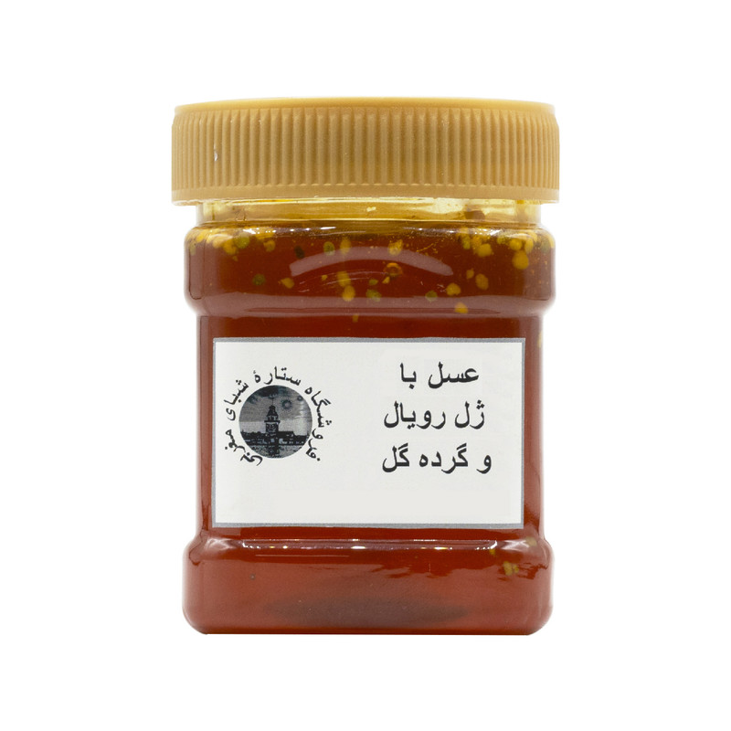 عسل با ژل رویال و گرده گل - 480 گرم