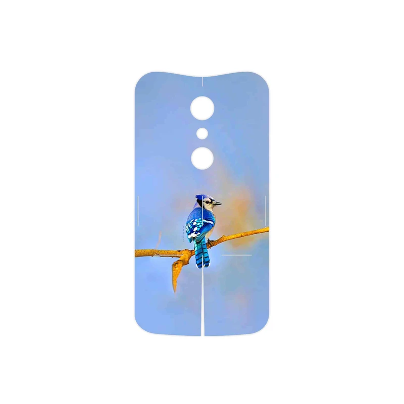 برچسب پوششی ماهوت مدل Cyanocitta cristata مناسب برای گوشی موبایل موتورولا Moto G 2nd gen