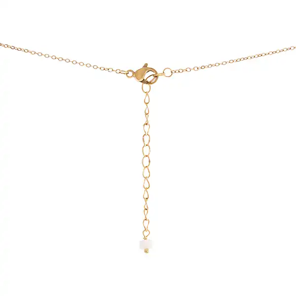 گردنبند زنانه زرسام مدل زبرا بارش کد 10016520