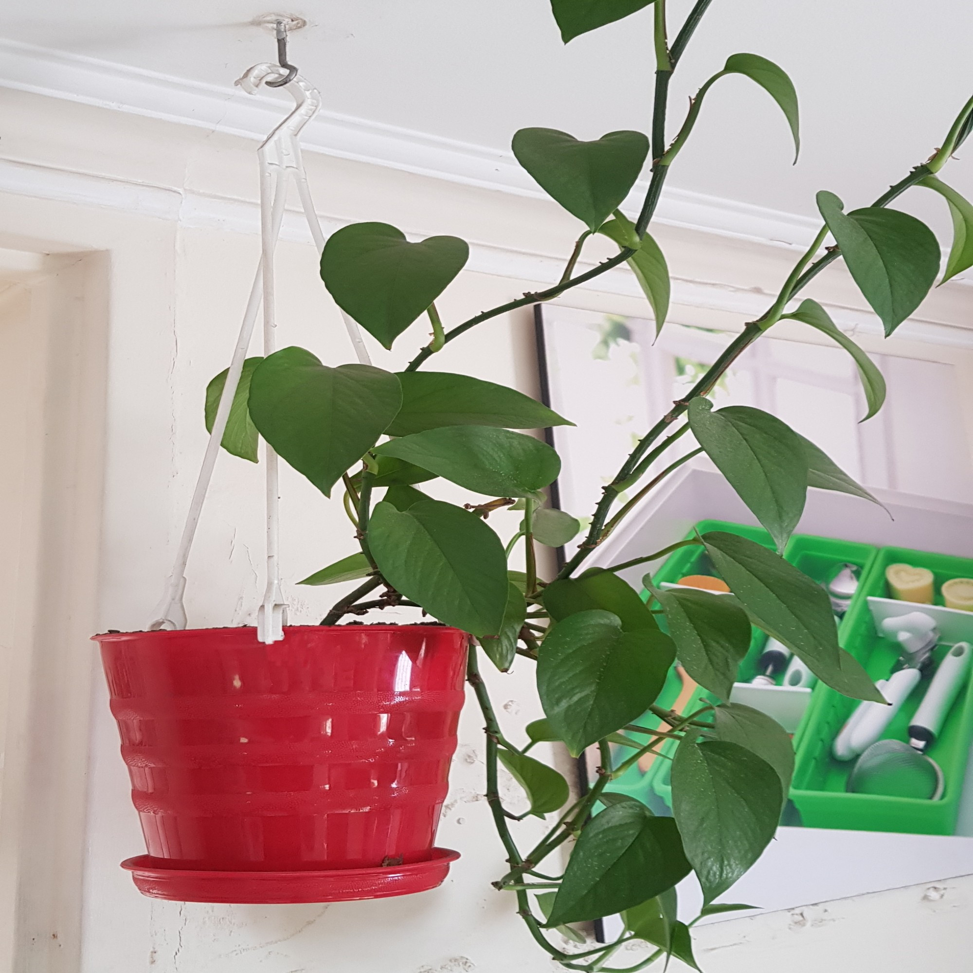 گلدان مدل 109