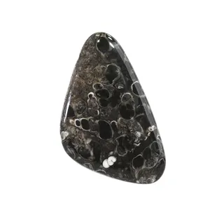 سنگ فسیل تورتیلا اقلیمه کد VB489