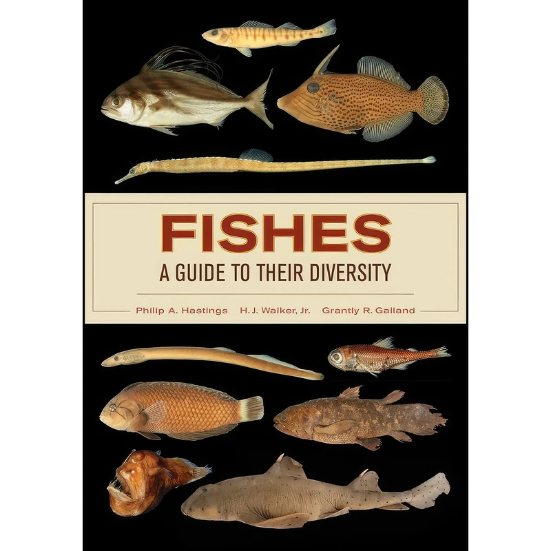 کتاب Fishes اثر جمعي از نويسندگان انتشارات University of California Press