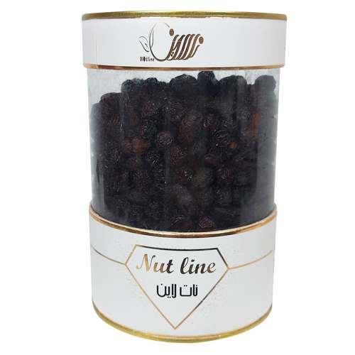 مخلوط زغال اخته و آلبالو خشک نات لاین - 650 گرم