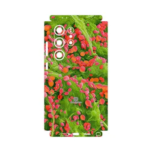 MAHOOT Atom Universe 3-FullSkin Cover Sticker for Samsung Galaxy S24 Ultra