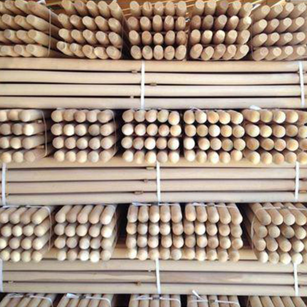 بیل مدل  سوپر روسی