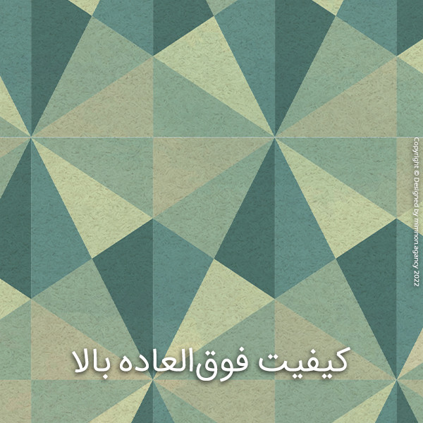 پادری نوریسانس مدل Avery سایز 60×40 سانتی متر