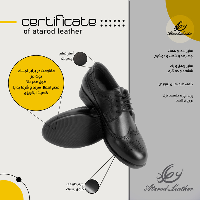 کفش زنانه چرم عطارد مدل چرم طبیعی کد SH148