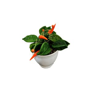 گلدان به همراه گل مصنوعی مدل هویج