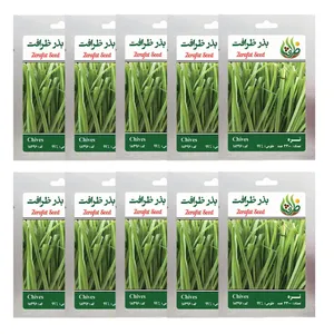 بذر تره ظرافت مدل BZ1053 بسته 10 عددی