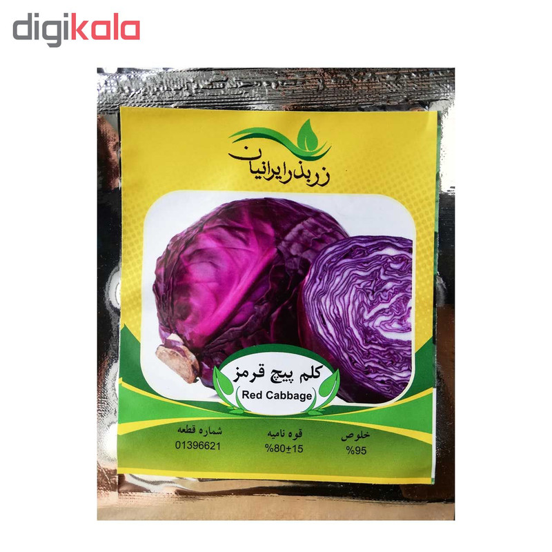 بذر کلم پیچ قرمز زر بذر ایرانیان کد ZBP-42