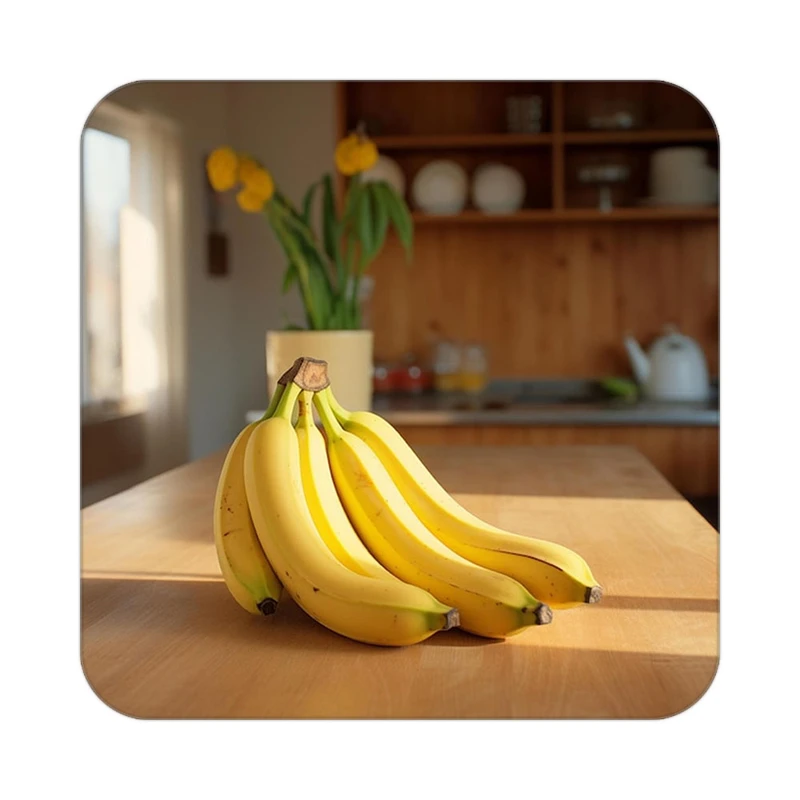 زیر لیوانی کاکتی طرح میوه مدل mp20883