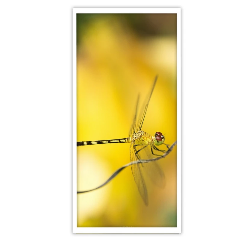 تابلو بکلیت طرح عکاسی طبیعت سنجاقک مدل W-S3391