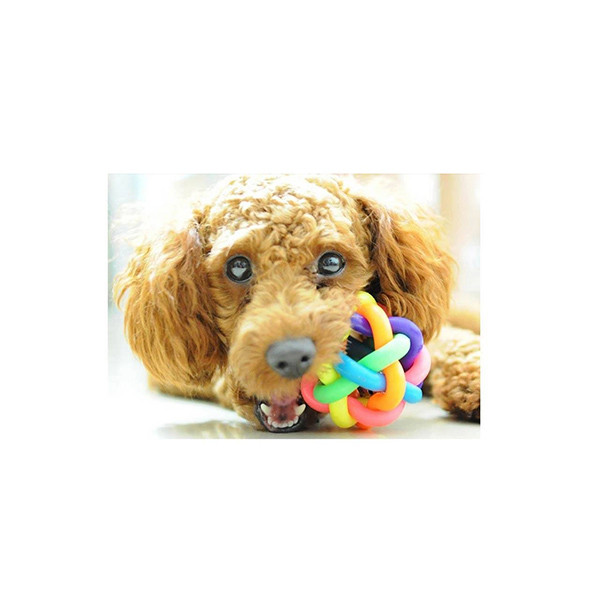 اسباب بازی سگ و گربه مدل M Perro Ball