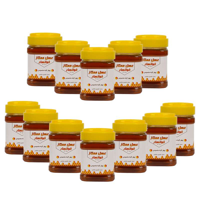 عسل چهارگیاه نمونه خوانسار - 500 گرم - بسته 12 عددی
