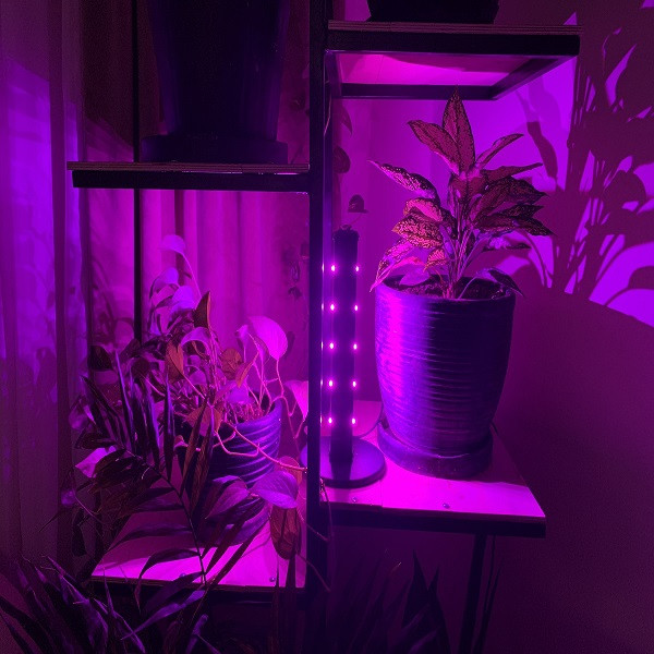 لامپ رشد گیاه لایت میژن مدل پایه دار sun war mini10 watt-p