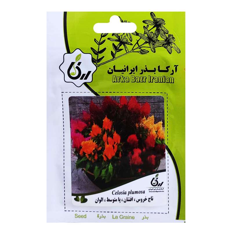 بذر تاج خروس افشان پامتوسط الوان آرکا بذر ایرانیان کد ARK-044
