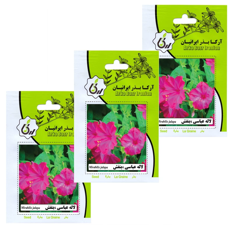 بذر گل لاله عباسی بنفش آرکا بذر ایرانیان کد 171-ARK مجموعه 3 عددی