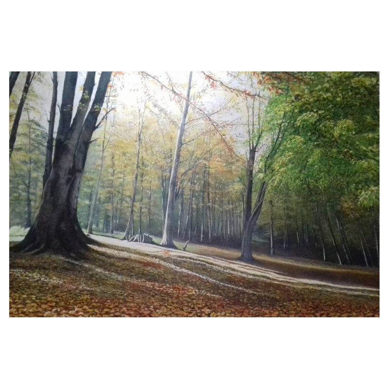 تابلو نقاشی رنگ و روغن مدل جنگل لیرسر تنکابن کد 02