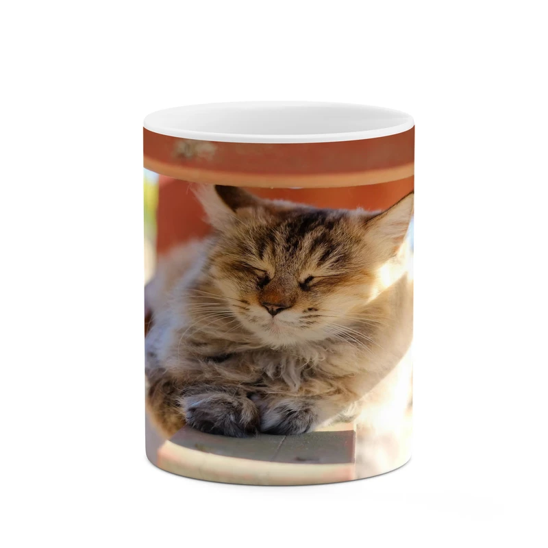 ماگ کاکتی مدل گربه کد mgh17134