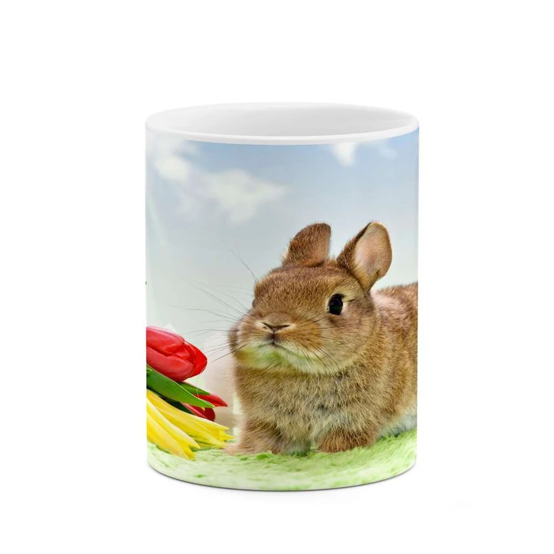 ماگ کاکتی مدل خرگوش کد mgh15342