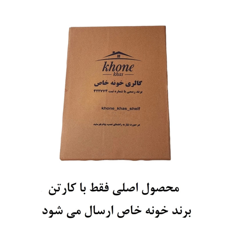 شلف دیواری خونه خاص مدل باکس دو طبقه آویز دار