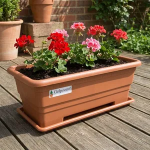 Golpooneh F216 Plant Pot