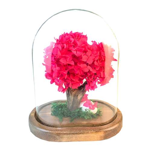 گل رز جاودان مدل هورتانسیا کد AD001