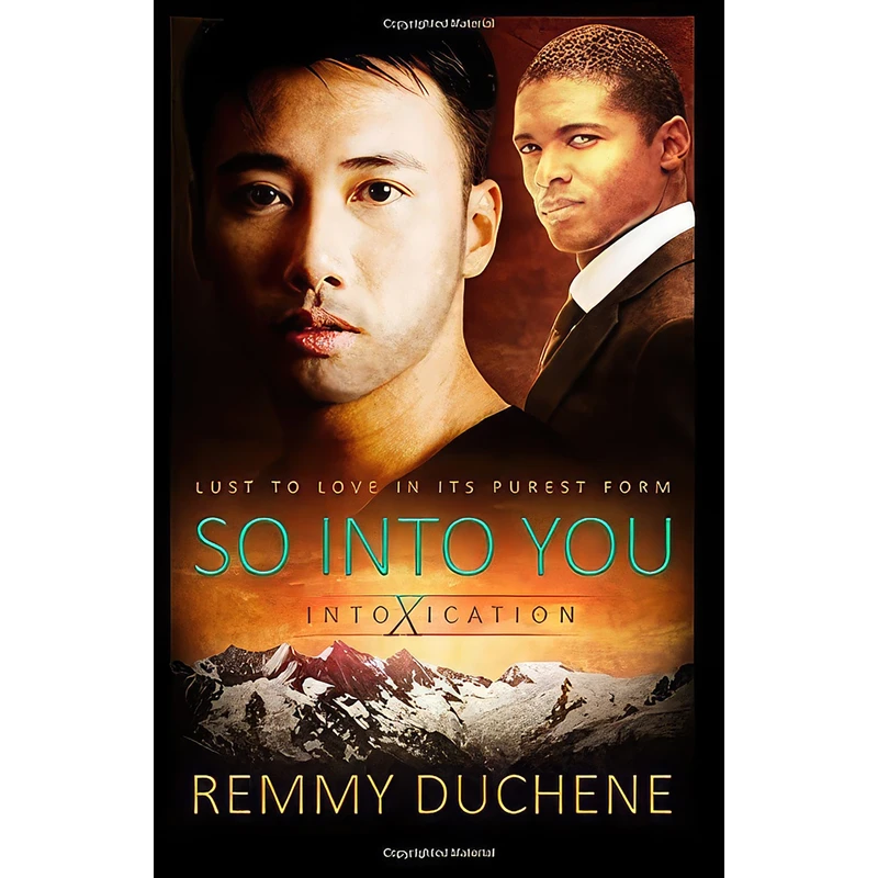 کتاب So Into You اثر Remmy Duchene انتشارات تازه ها