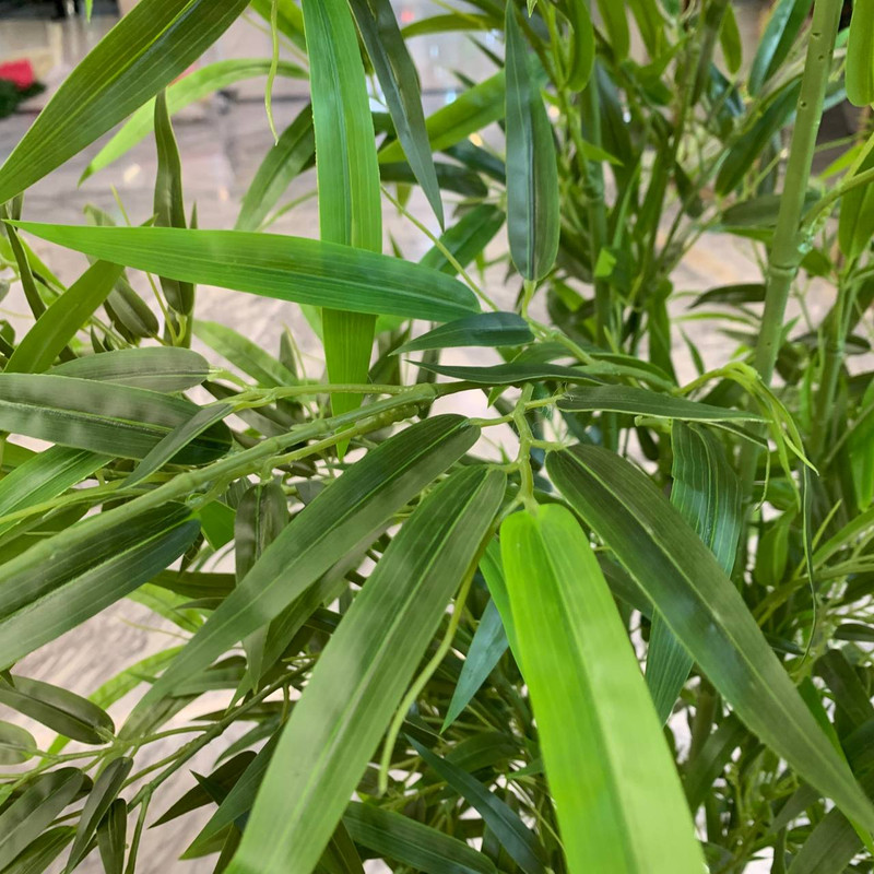 درختچه مصنوعی مدل بامبو