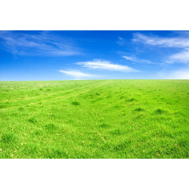 تابلو شاسی مدل دشت سرسبز با آسمان آبی T7079