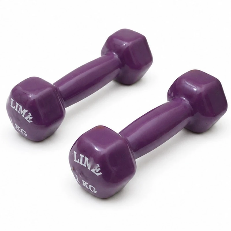 دمبل مدل GS-M-333335 وزن 1 کیلوگرم بسته دو عددی