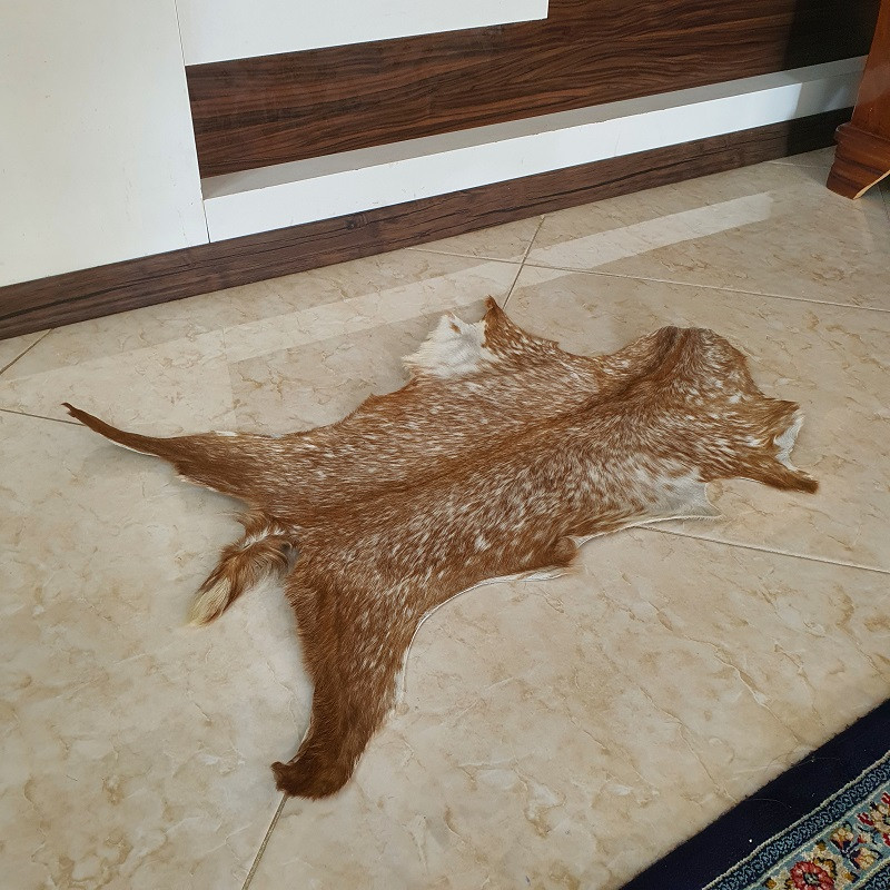 فرش پوست مدل Nixo 8103 فرش پوست مدل Nixo 8103