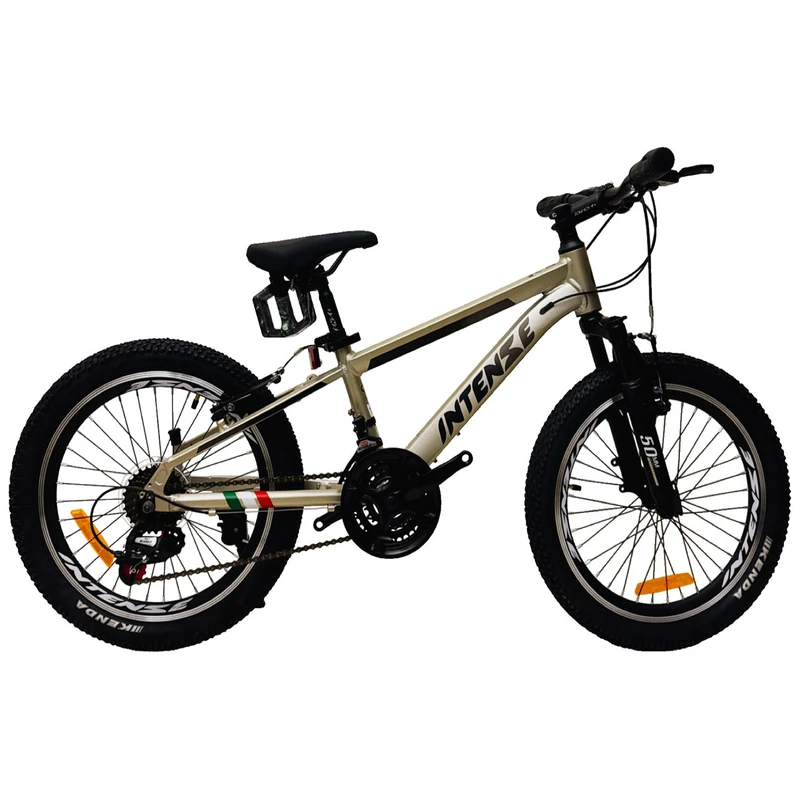 دوچرخه کوهستان اینتنز مدل CV100 کد 1211 سایز طوقه 20 اینچ