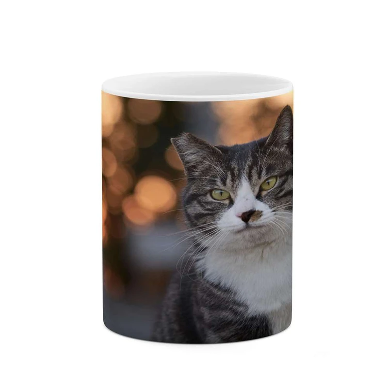 ماگ کاکتی مدل گربه کد mgh16230