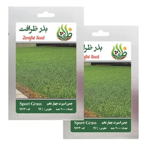 بذر چمن خارجی اسپرت چهار تخم ظرافت مدل BZ9663 مجموعه 2 عددی