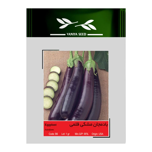 بذر بادمجان قلمی وانیا سید کد B6 بذر بادمجان قلمی وانیا سید کد B6