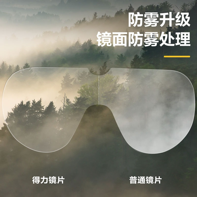 عینک ایمنی دلی مدل DL522002