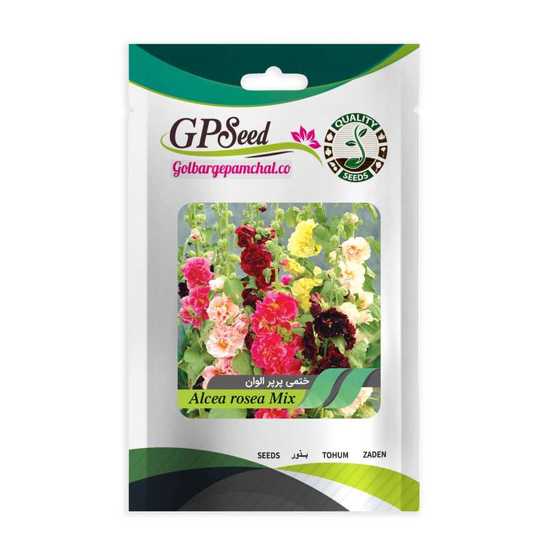 بذر گل ختمی پابلند پرپر الوان گلدانی گلبرگ پامچال کد GPF-047