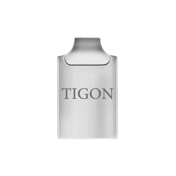 فلش مموری تایگون مدل P 101 ظرفیت 16 گیگابایت