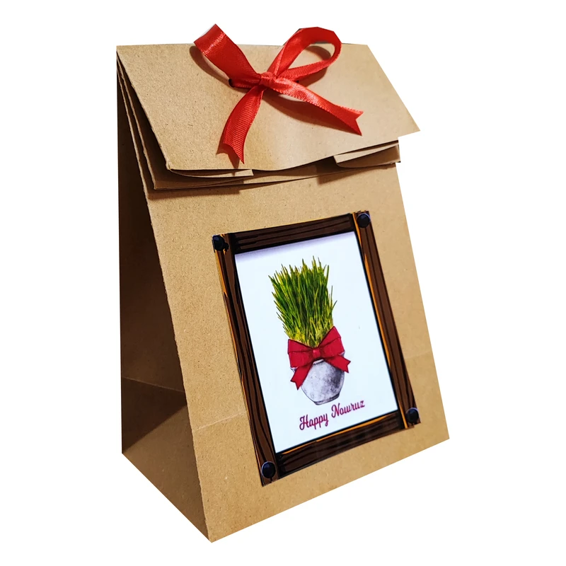 ساک هدیه مدل سال نو مجموعه دو عددی