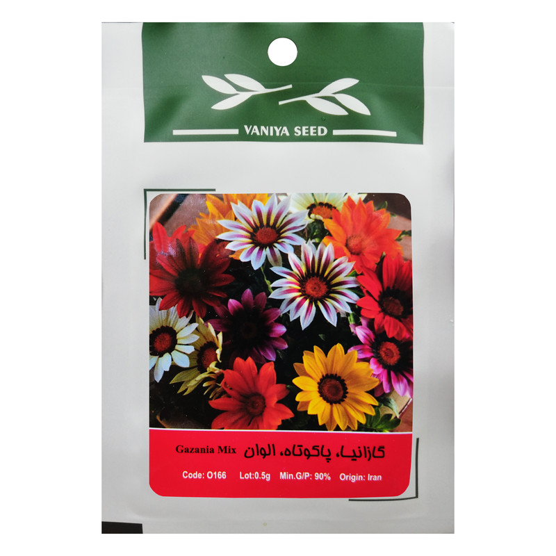 بذر گل گازانیا پاکوتاه الوان وانیا سید مدل O166 بذر گل گازانیا پاکوتاه الوان وانیا سید مدل O166