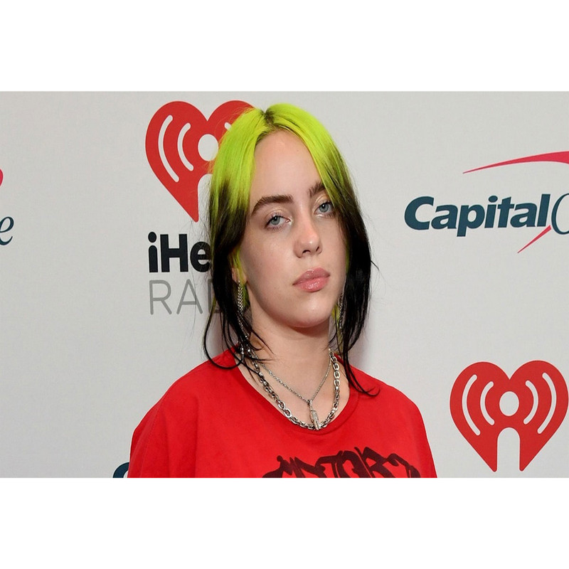 تابلو شاسی مدل خواننده بیلی آیلیش T5601