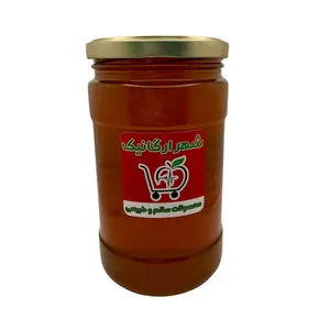 عسل طبیعی  کوهی شهر ارگانیک - 1000 گرم